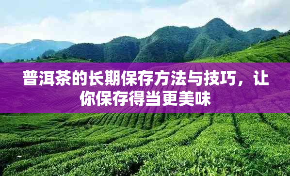 普洱茶的长期保存方法与技巧,让你保存得当更美味
