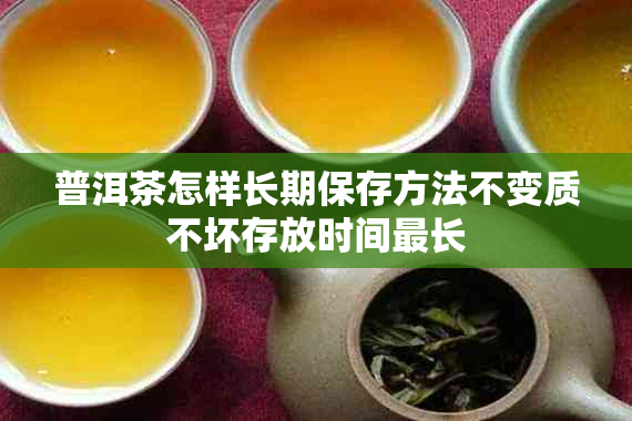 普洱茶怎样长期保存方法不变质不坏存放时间最长