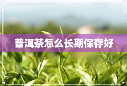 普洱茶怎么长期保存好 普洱茶怎么长期保存好