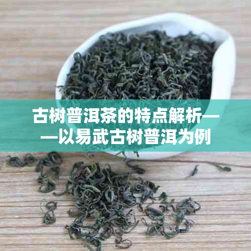 古树普洱茶的特点解析——以易武古树普洱为例