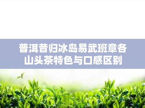 普洱昔归冰岛易武班章各山头茶特色与口感区别