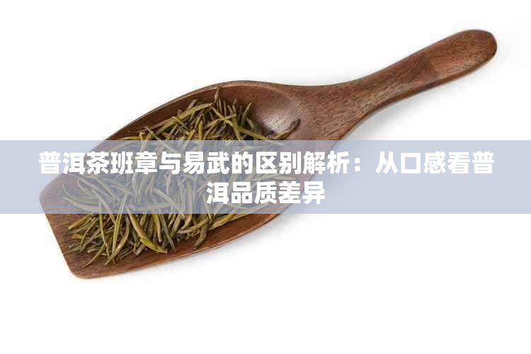 普洱茶班章与易武的区别解析:从口感看普洱品质差异