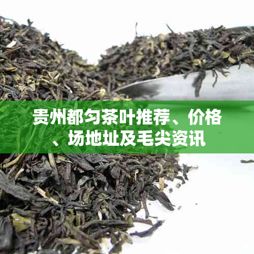 贵州都匀茶叶推荐、价格、场地址及毛尖资讯