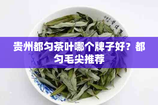 贵州都匀茶叶哪个牌子好?都匀毛尖推荐