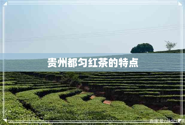 贵州都匀红茶的特点 贵州都匀红茶的特点