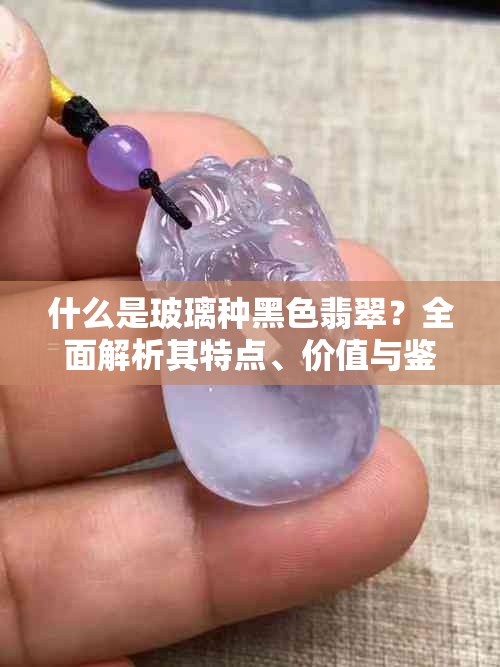 什么是玻璃种黑色翡翠?全面解析其特点、价值与鉴别方法