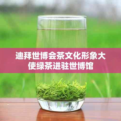 迪拜世博会茶文化形象大使绿茶进驻世博馆