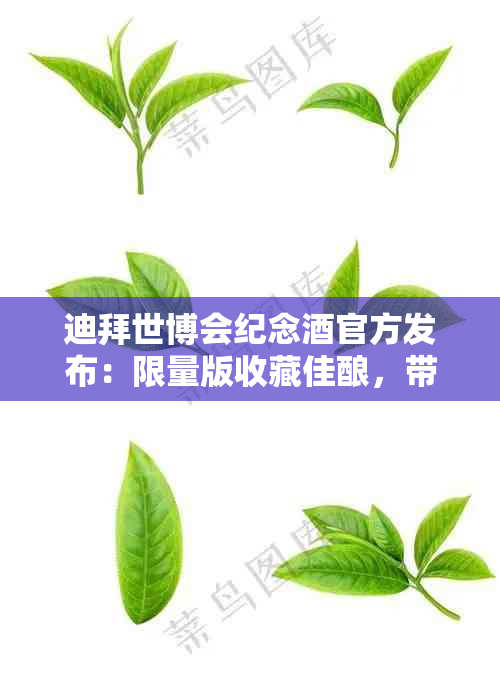 迪拜世博会纪念官方发布：限量版收藏佳酿，带你重温世博精彩瞬间