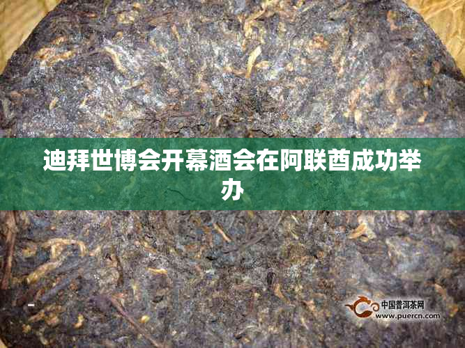 迪拜世博会开幕会在阿联酋成功举办