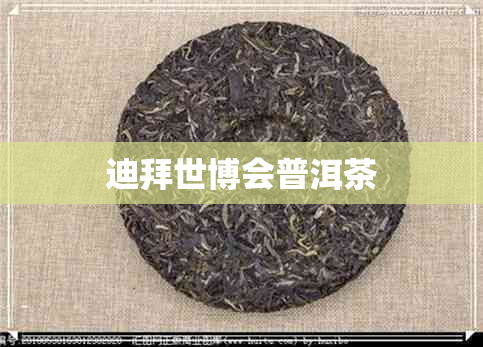 迪拜世博会普洱茶