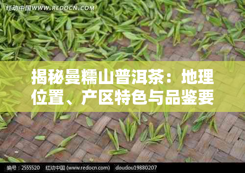 揭秘曼糯山普洱茶:地理位置、产区特色与品鉴要点全解析