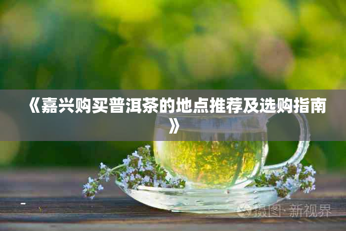 《嘉兴购买普洱茶的地点推荐及选购指南》