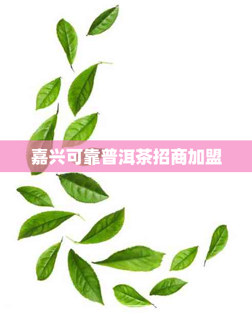 嘉兴可靠普洱茶招商加盟 嘉兴可靠普洱茶招商加盟