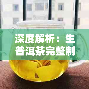 深度解析:生普洱茶完整制作工艺与关键步骤揭秘