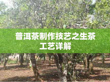 普洱茶制作技艺之生茶工艺详解