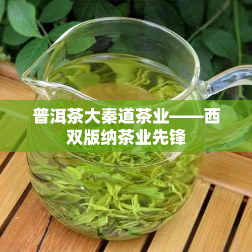 普洱茶大秦道茶业——西双版纳茶业先锋