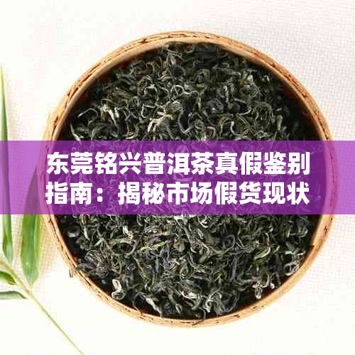 东莞铭兴普洱茶真假鉴别指南:揭秘市场假货现状与选购要点