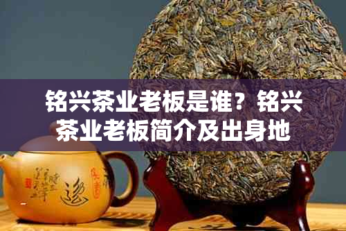 铭兴茶业老板是谁?铭兴茶业老板简介及出身地