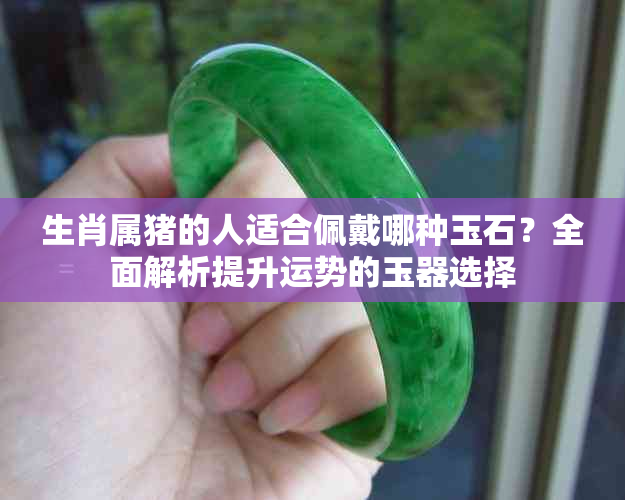 生肖属猪的人适合佩戴哪种玉石?全面解析提升运势的玉器选择