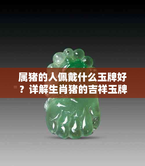 属猪的人佩戴什么玉牌好?详解生肖猪的吉祥玉牌选择