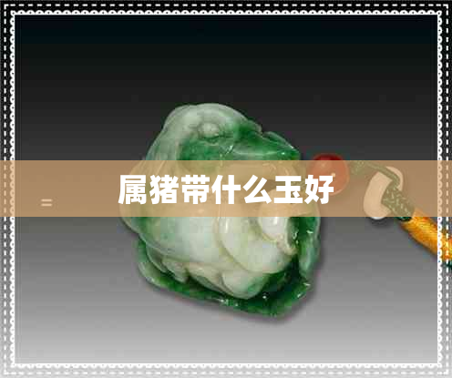 属猪带什么玉好 属猪带什么玉好