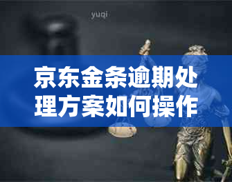 京东金条逾期处理方案如何操作