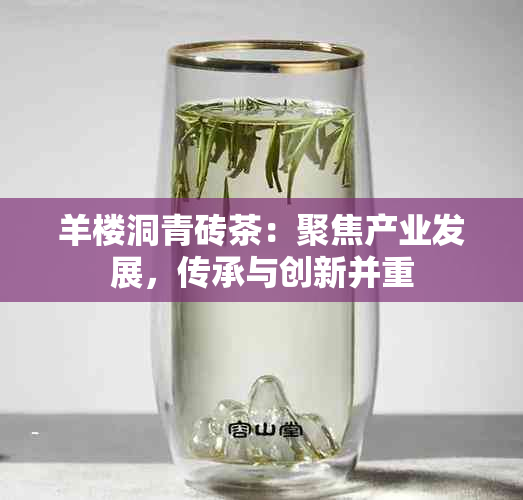 羊楼洞青砖茶:聚焦产业发展,传承与创新并重