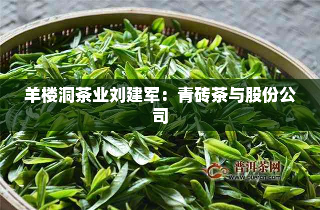 羊楼洞茶业刘建军:青砖茶与股份公司