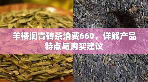羊楼洞青砖茶消费660,详解产品特点与购买建议