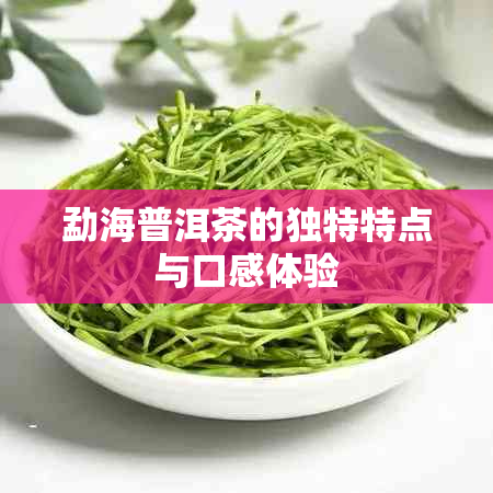 勐海普洱茶的独特特点与口感体验
