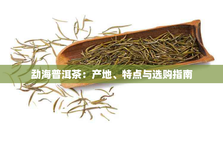 勐海普洱茶:产地、特点与选购指南