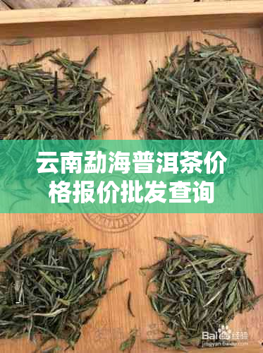 云南勐海普洱茶价格报价批发查询