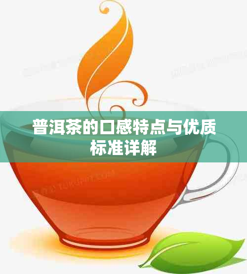 普洱茶的口感特点与优质标准详解