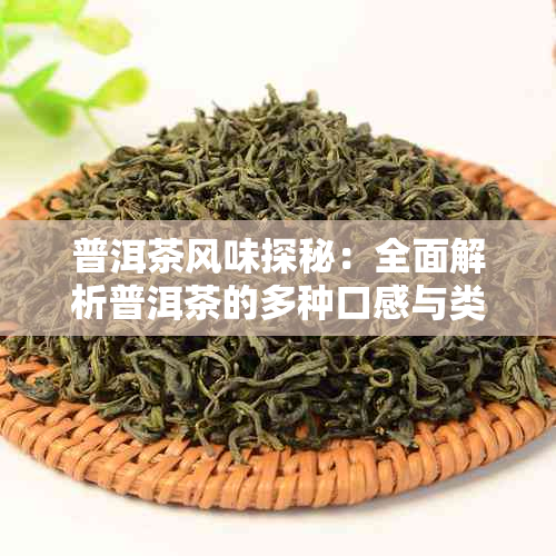 普洱茶风味探秘:全面解析普洱茶的多种口感与类型
