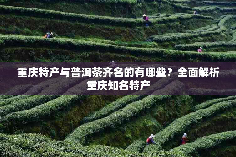 重庆特产与普洱茶齐名的有哪些?全面解析重庆知名特产