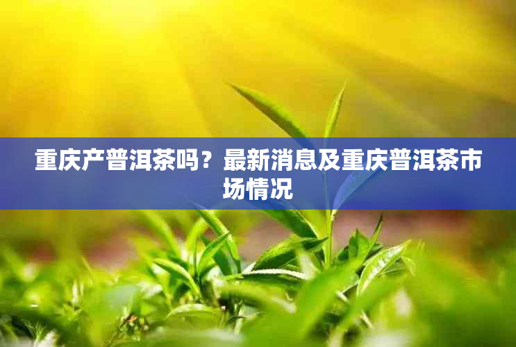 重庆产普洱茶吗?最新消息及重庆普洱茶市场情况