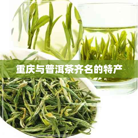 重庆与普洱茶齐名的特产 重庆与普洱茶齐名的特产