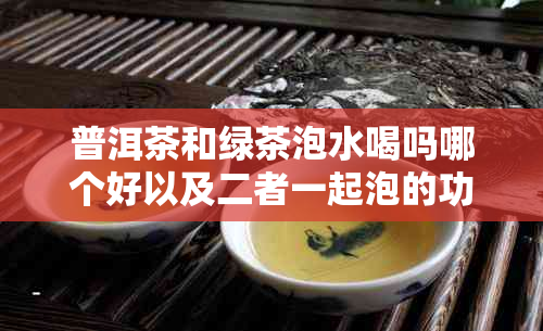 普洱茶和绿茶泡水喝吗哪个好以及二者一起泡的功效与适宜性探讨