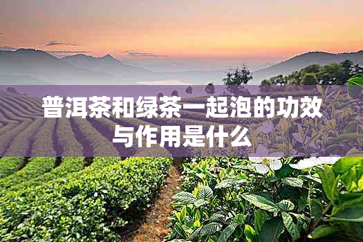 普洱茶和绿茶一起泡的功效与作用是什么