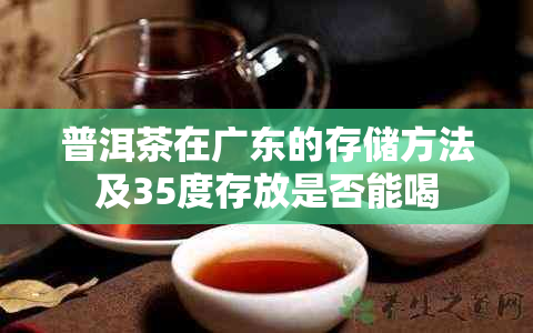 普洱茶在广东的存储方法及35度存放是否能喝