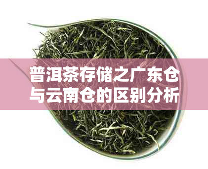 普洱茶存储之广东仓与云南仓的区别分析