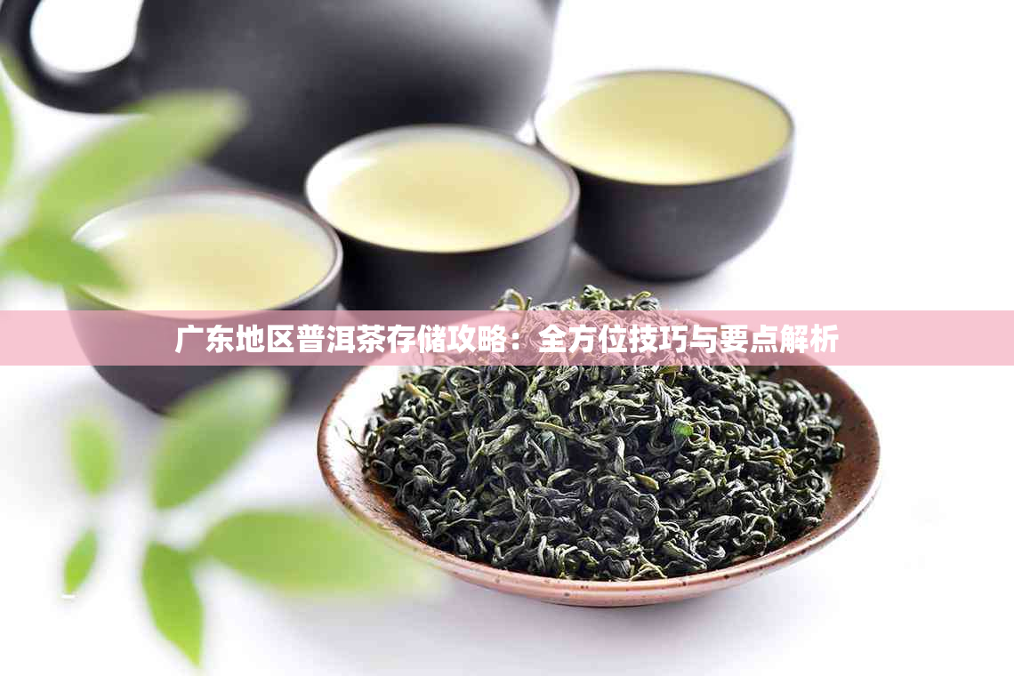 广东地区普洱茶存储攻略:全方位技巧与要点解析