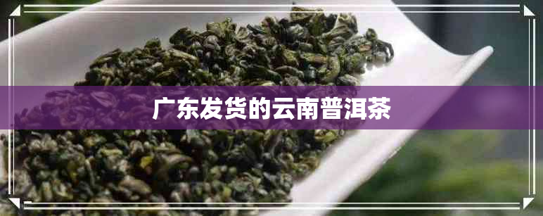 广东发货的云南普洱茶 广东发货的云南普洱茶