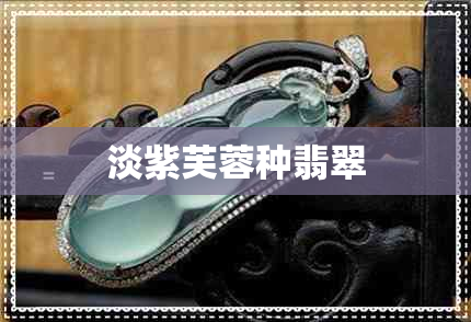 淡紫芙蓉种翡翠 淡紫芙蓉种翡翠