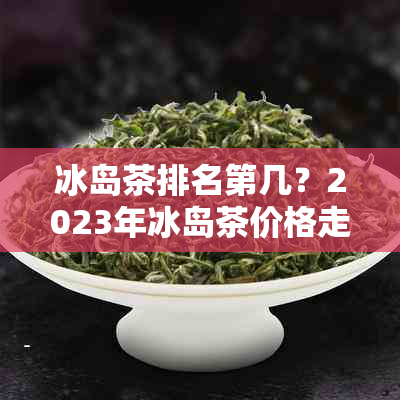 冰岛茶排名第几?2023年冰岛茶价格走势与品鉴指南