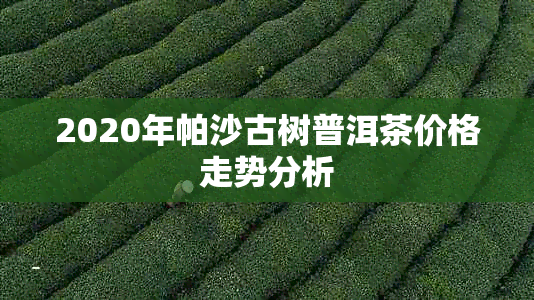 2020年帕沙古树普洱茶价格走势分析