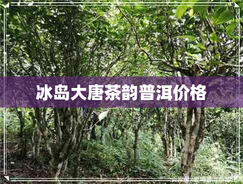 冰岛大唐茶韵普洱价格 冰岛大唐茶韵普洱价格