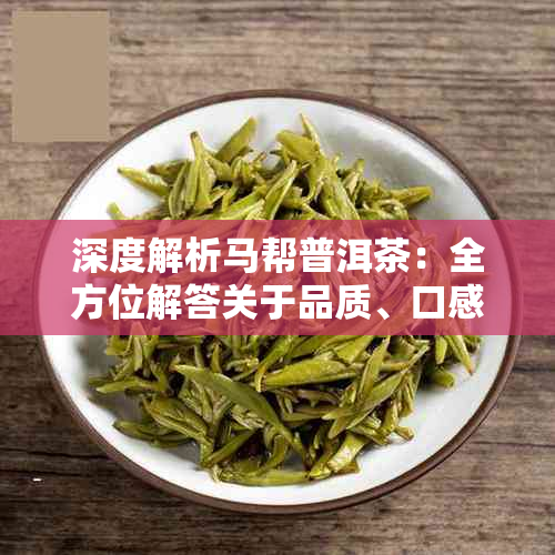 深度解析马帮普洱茶:全方位解答关于品质、口感与选购的常见疑问