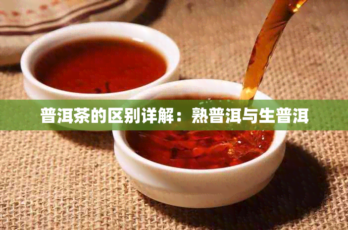 普洱茶的区别详解：熟普洱与生普洱