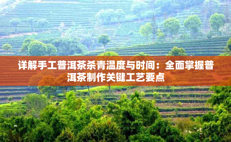 详解手工普洱茶杀青温度与时间:全面掌握普洱茶制作关键工艺要点